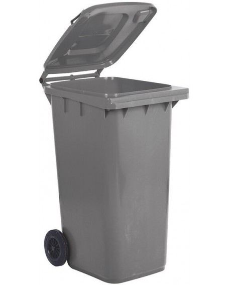 poubelles tri sélectif 55x48x93 cm - 120 l gris
