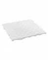 lot de 4 dalles caillebotis haccp 50x50x2,2 cm 1m² blanc