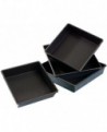 Exopan manqué carré hauteur 5 cm 20x20 cm