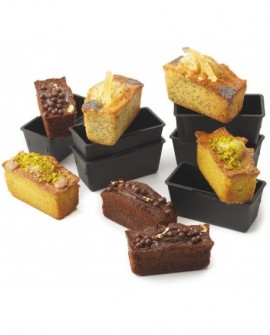 Exoglass 6 cakes rectangulaires 9x4x4 cm