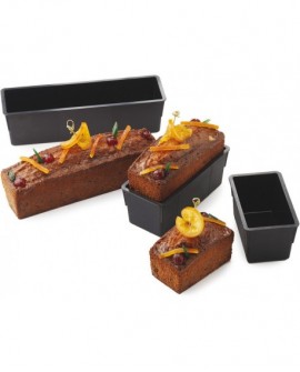 Exoglass cake rectangulaire 30x8x8 cm